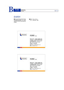 企業(yè)形象設(shè)計(jì)與企業(yè)形象策劃 品牌成功的雙引擎